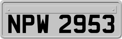 NPW2953