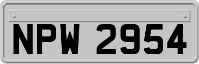NPW2954