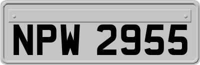NPW2955