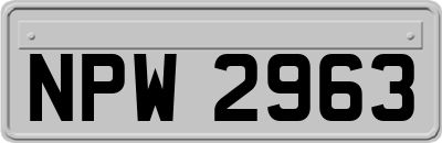 NPW2963