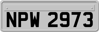 NPW2973