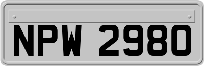 NPW2980