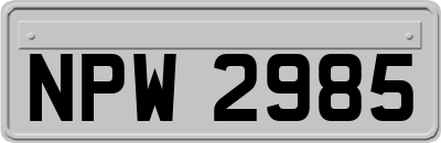 NPW2985