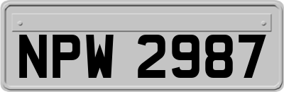 NPW2987