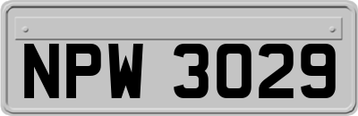 NPW3029