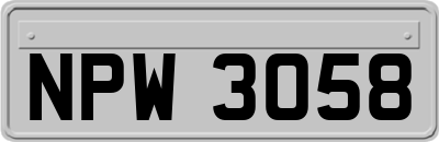 NPW3058