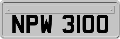NPW3100