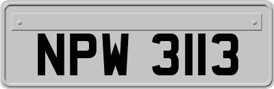 NPW3113