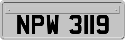 NPW3119