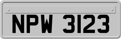 NPW3123