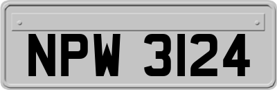 NPW3124