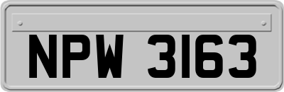 NPW3163