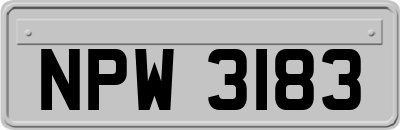 NPW3183