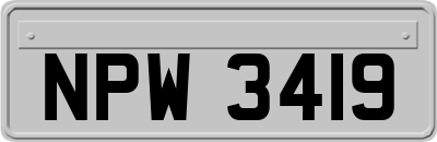 NPW3419