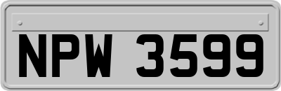 NPW3599