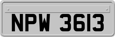 NPW3613