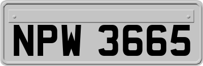 NPW3665