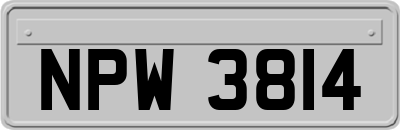 NPW3814