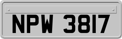 NPW3817