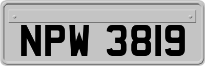 NPW3819