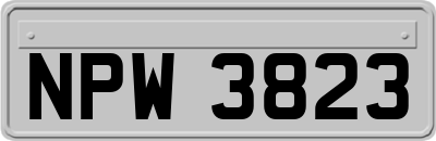 NPW3823