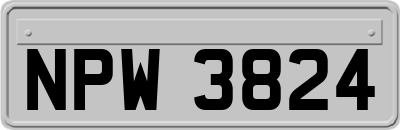 NPW3824