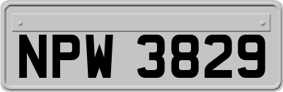 NPW3829