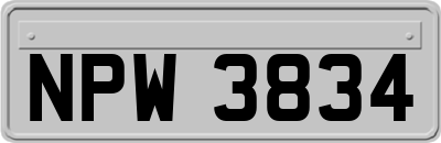 NPW3834