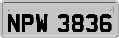 NPW3836