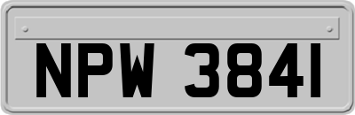 NPW3841
