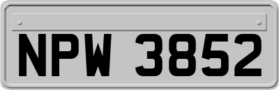 NPW3852