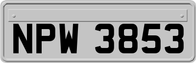 NPW3853
