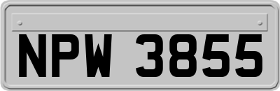 NPW3855
