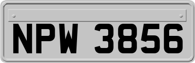 NPW3856