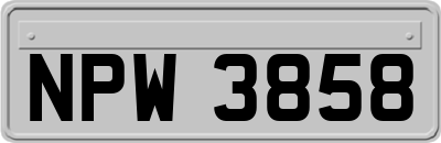 NPW3858
