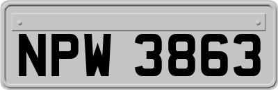 NPW3863