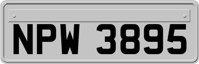 NPW3895