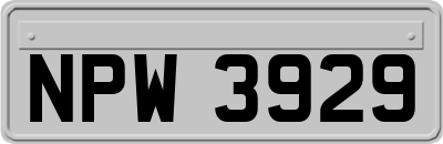 NPW3929