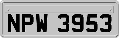 NPW3953
