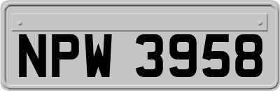 NPW3958