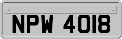 NPW4018