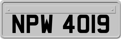 NPW4019