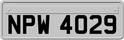 NPW4029