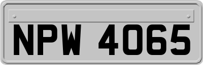NPW4065
