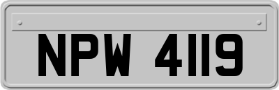 NPW4119