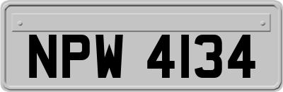 NPW4134