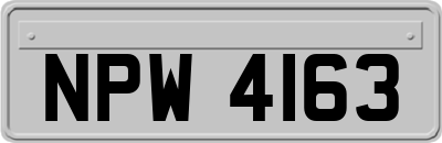 NPW4163