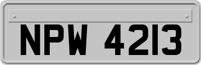NPW4213