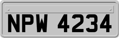 NPW4234