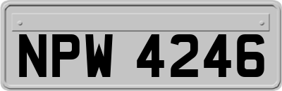 NPW4246